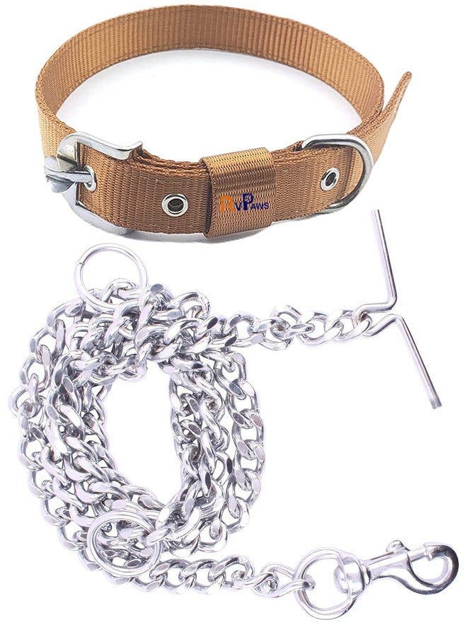 Pups&Pets طقم حزام للكلاب من Pups&Pets يتضمن طوق نايلون مقاس 1 بوصة مع سلسلة متينة للكلاب بطول 63 بوصة (ذهبي) - Image 1